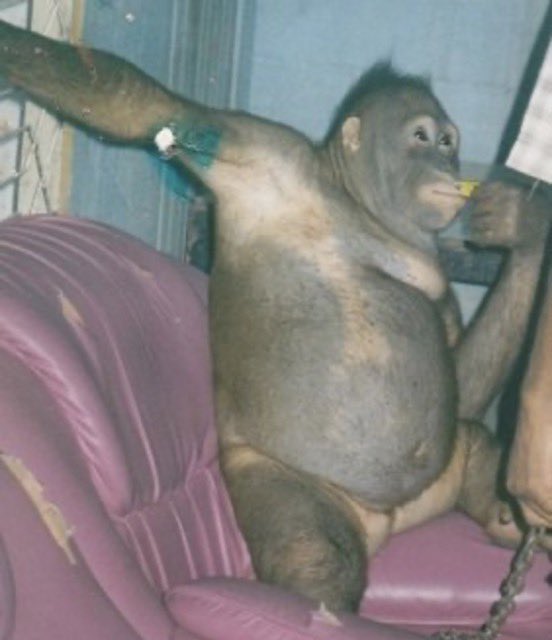 Dr. Omolola Anthonia Eddo tweet media