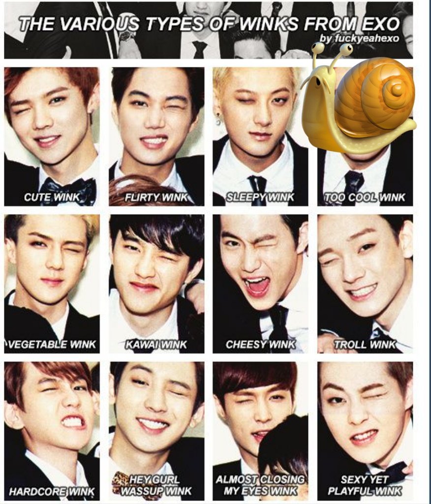 it's over factory tweet media