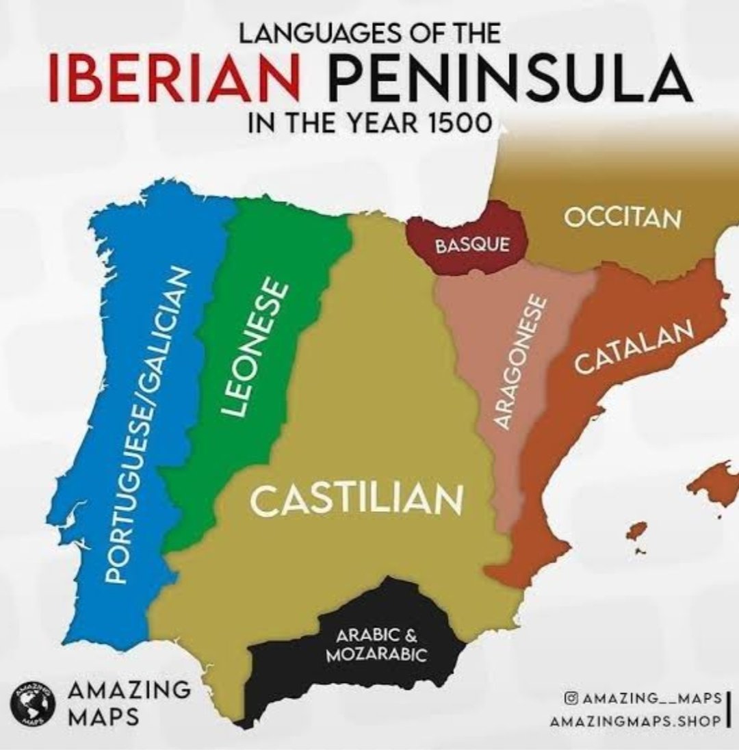 Usaguii Frito 🇵🇷🔻 tweet media