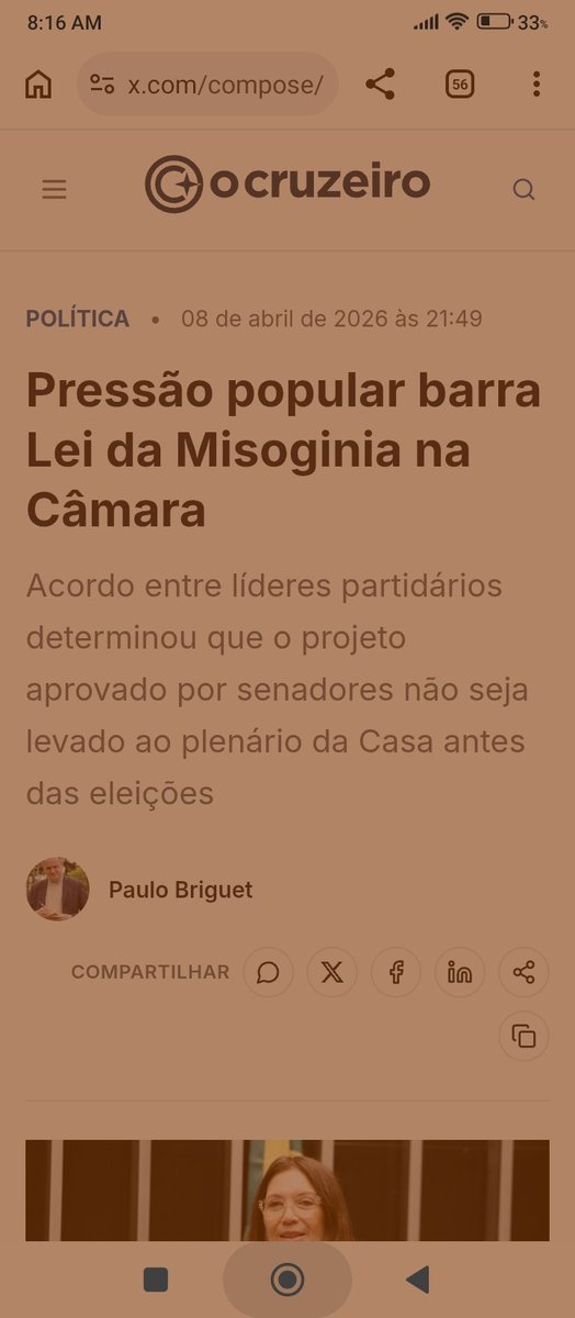 Paula Schmitt tweet media