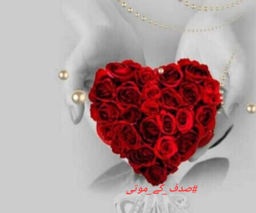 sadafsheriff35's tweet photo. @Iam_Mudasir1 Aye hye kya baath hai
So beautiful wah kon hai 
Meri tarafse bhi pohochadu..!!

#sadaf ❤️ https://t.co/Zq8Pidr5xg