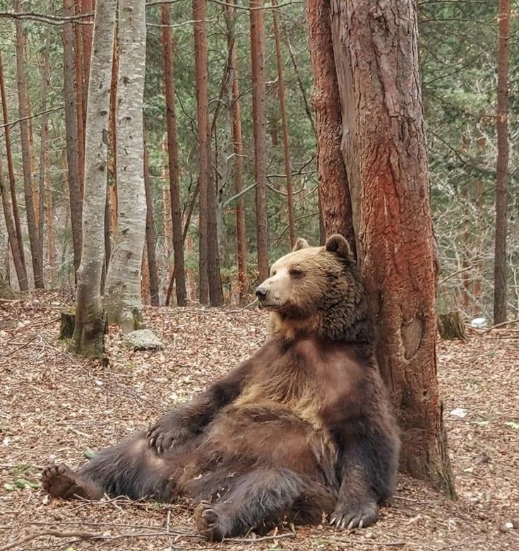 woojong's pudding 🐈‍⬛💗🐻 tweet media