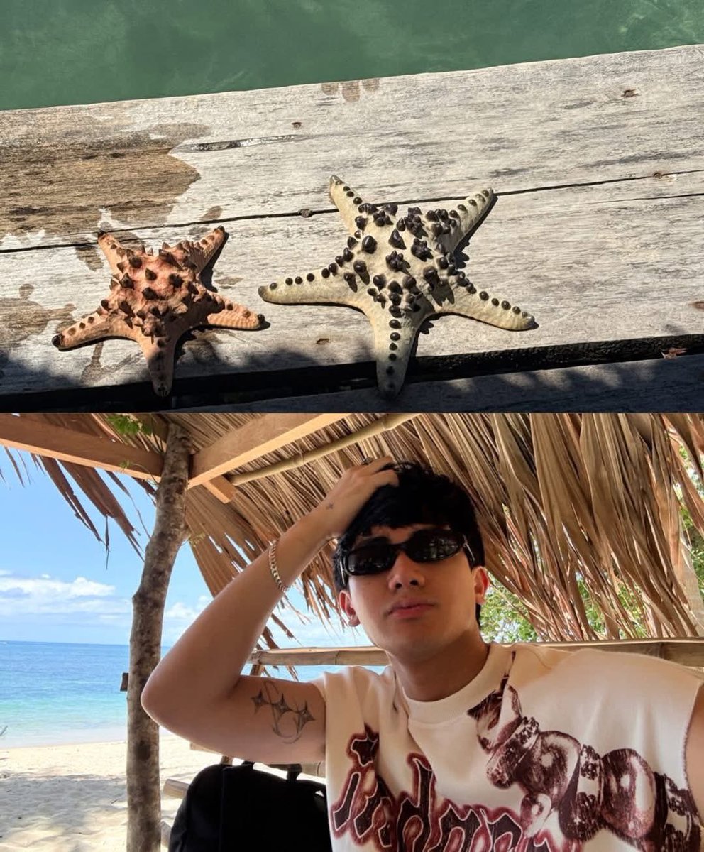 Meteors of Moonstrings Official tweet media