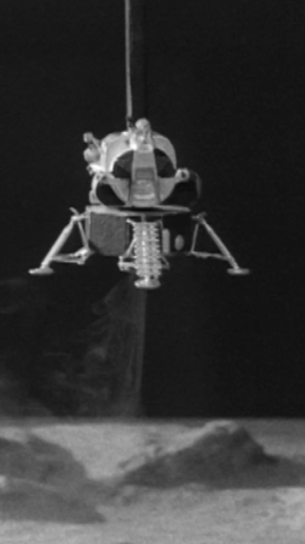 Marijke Louise tweet media