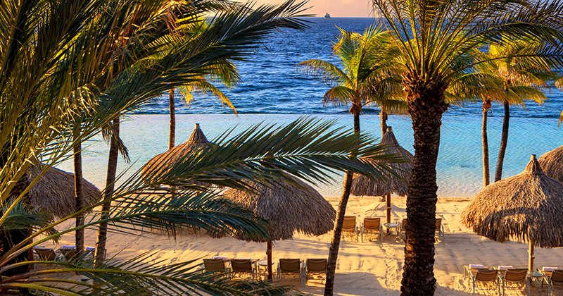 tropicalitytrvl's tweet image. Renaissance Wind Creek Curacao Resort offers a free-spirited atmosphere that blends relaxation and sun.  🌤️🌴🌊 
tropicality.com/resorts 
#curacao #vacation #beachtime #beach