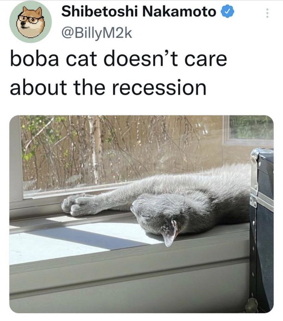 Boba Cat tweet media