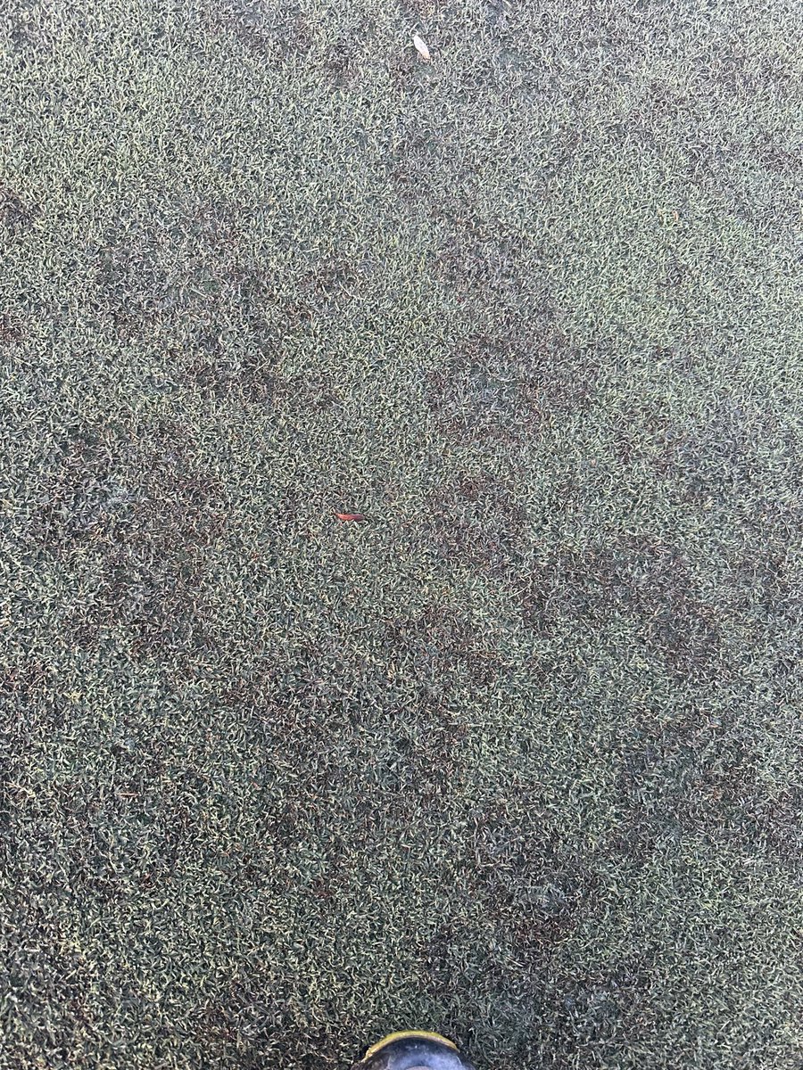 Daryck Beetham tweet media