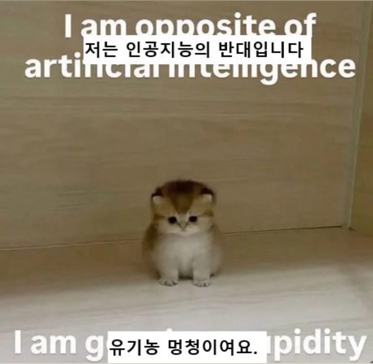 영 🕯️ tweet media