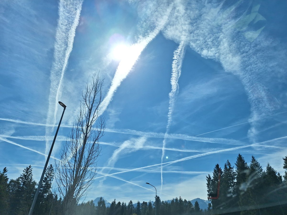 Doris K. 🇦🇹 tweet media