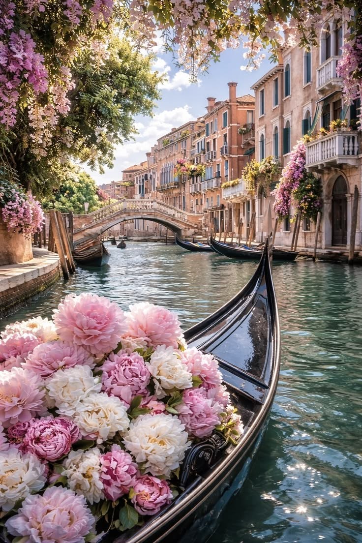 ꧁༺♡ourin♡༻꧂ tweet media