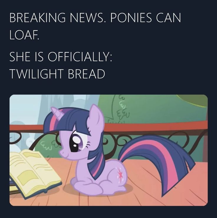 ᵎᵎ ZstarTv ᵎᵎ tweet media