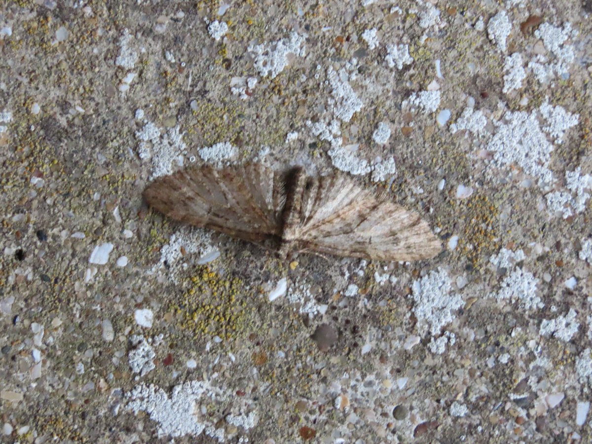 John Williams tweet media