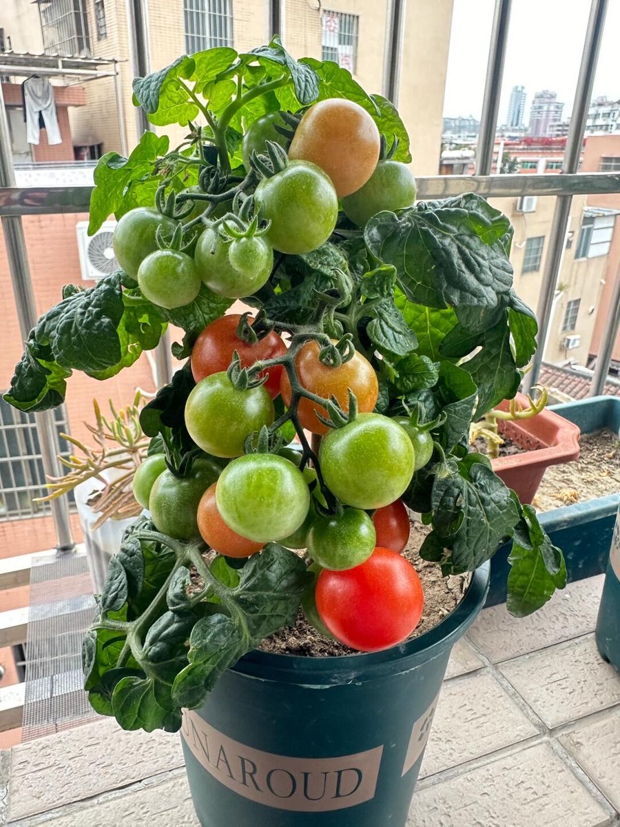 Revstone Industries tweet media