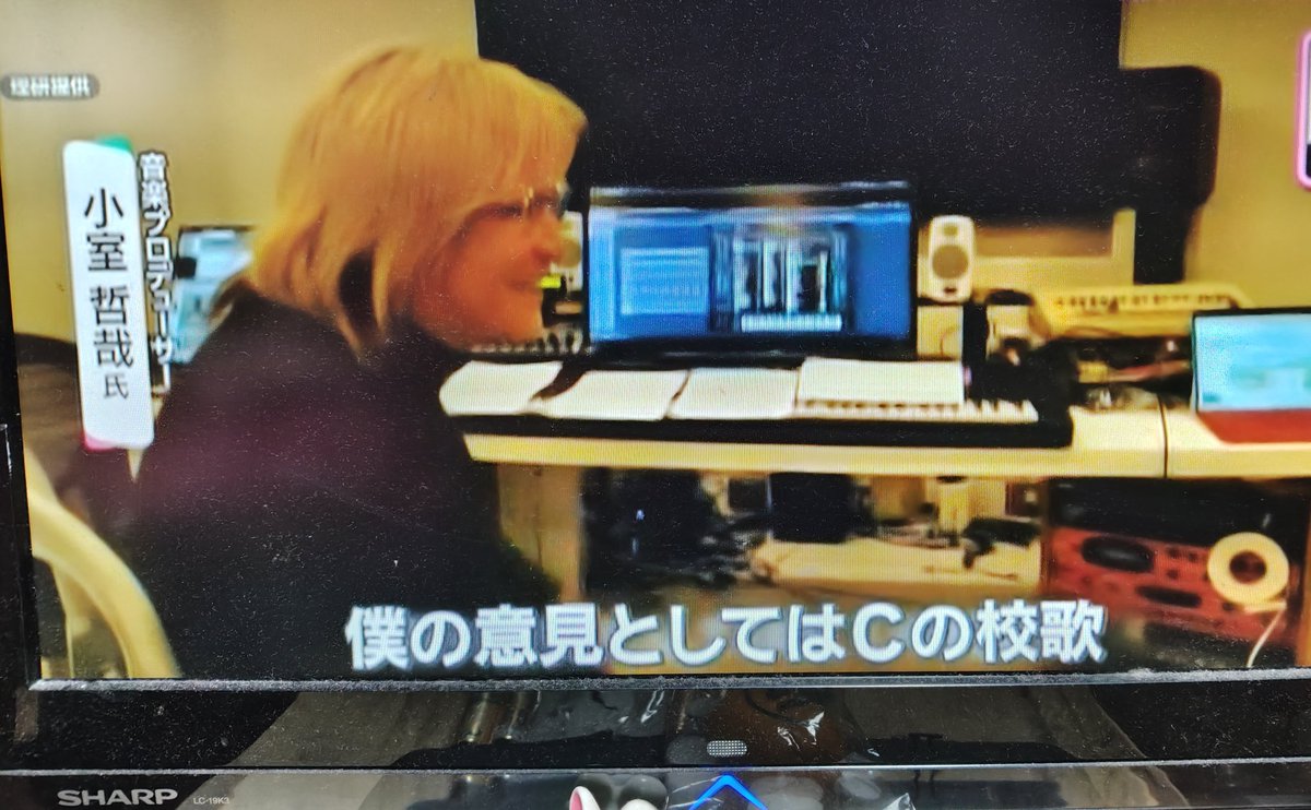 小熊猫桃次郎 tweet media