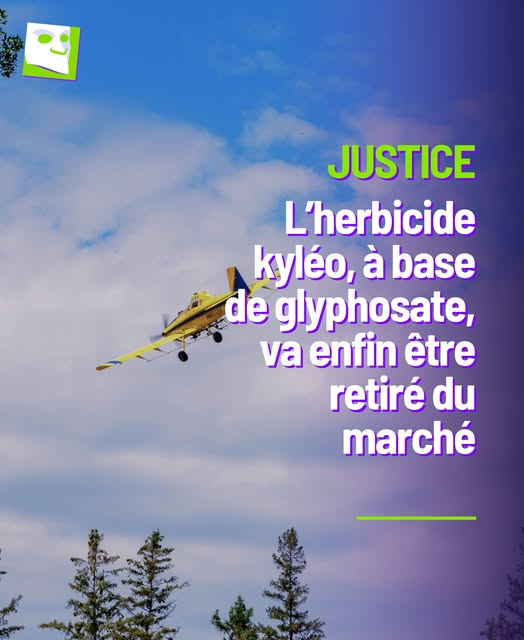 Mr Mondialisation tweet media