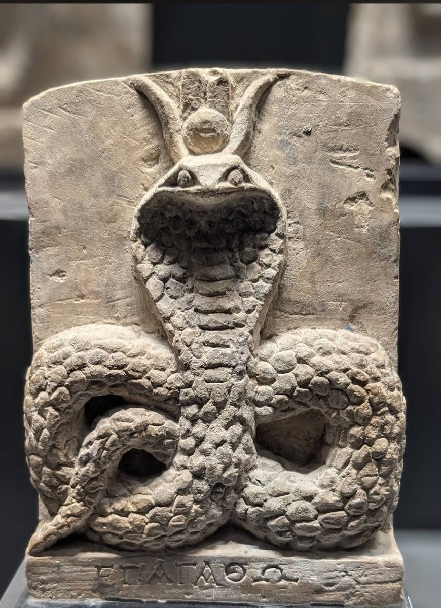 Mostafa Matar tweet media