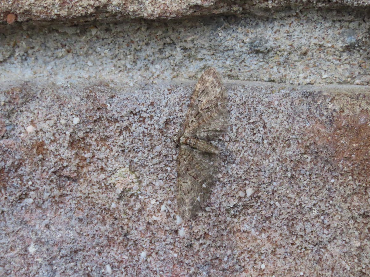 John Williams tweet media