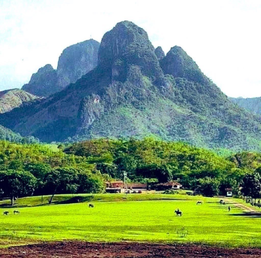 Gianluca Cocconcelli Art tweet media