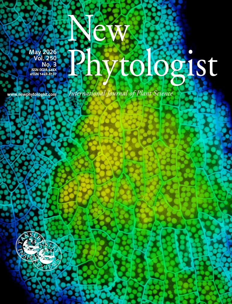 New Phytologist tweet media