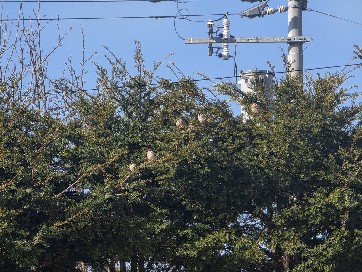 ゆうちん tweet media