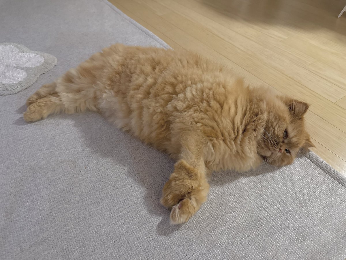 동북맘 tweet media