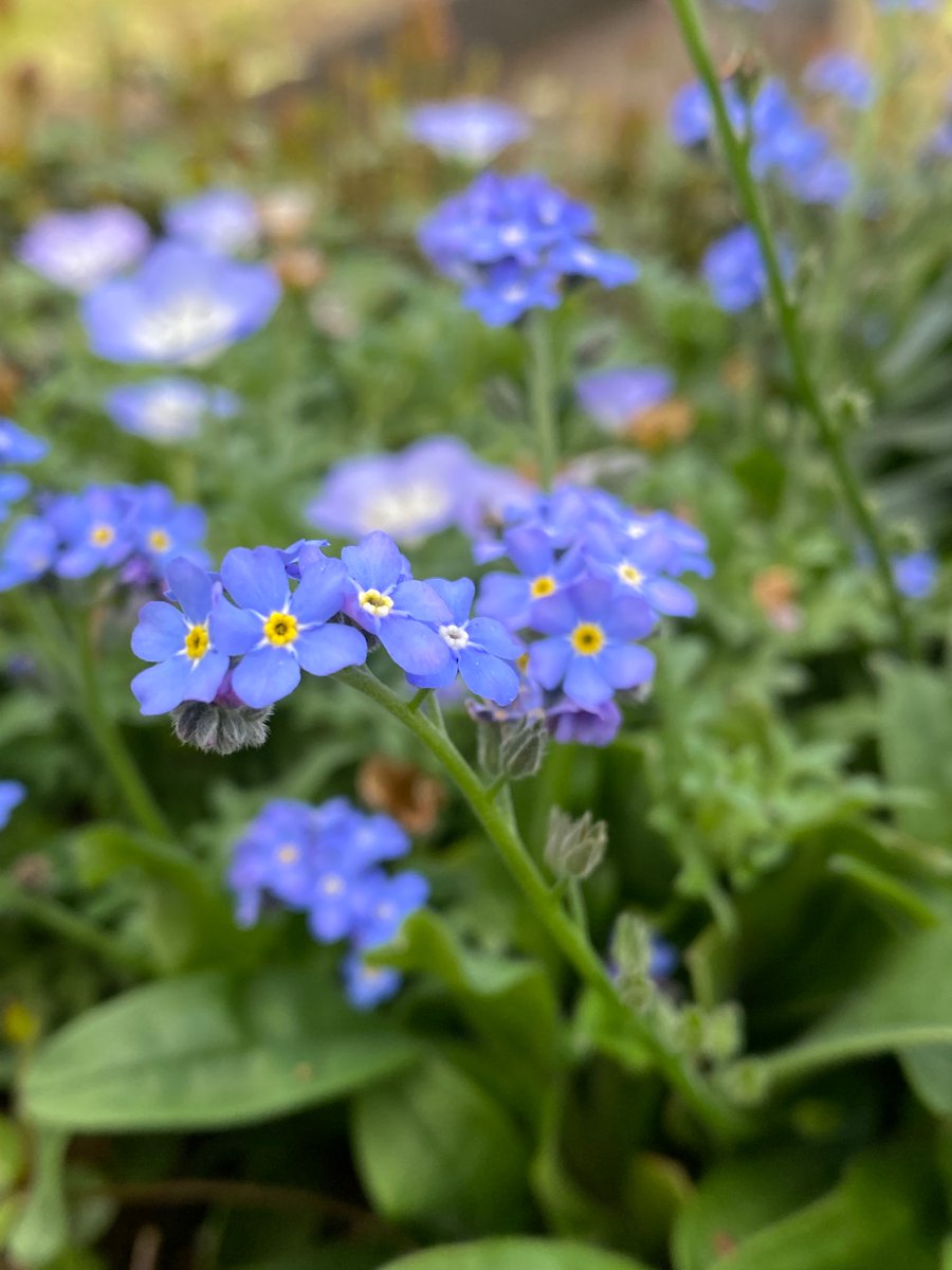 空太郎 tweet media