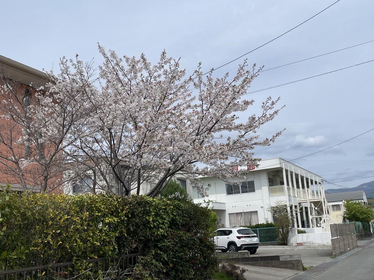 moon ticket eye ru tweet media