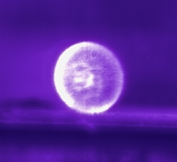 ProPixel Video Analysis and Research tweet media