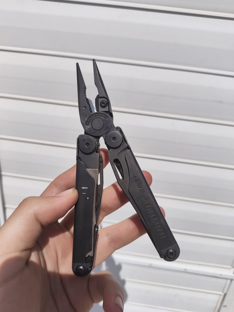 שי בוהארון tweet media