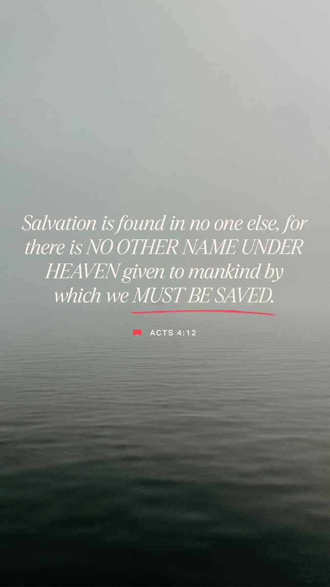 ☘️Shannon ☘️ tweet media