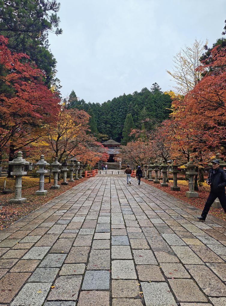 Japón Entre Amigos tweet media