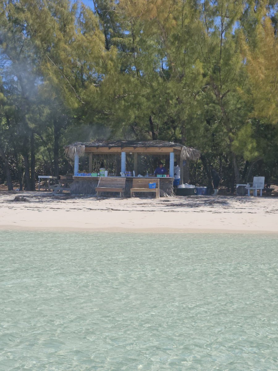 The Sailing Academy tweet media