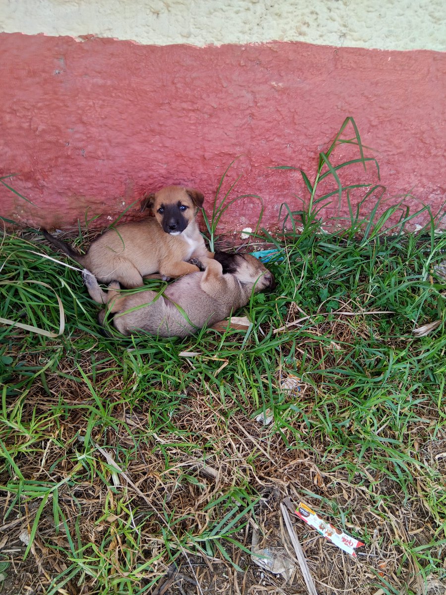 Lennyᝰ.ᐟ tweet media