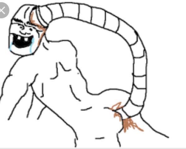 Ezio🦁 tweet media