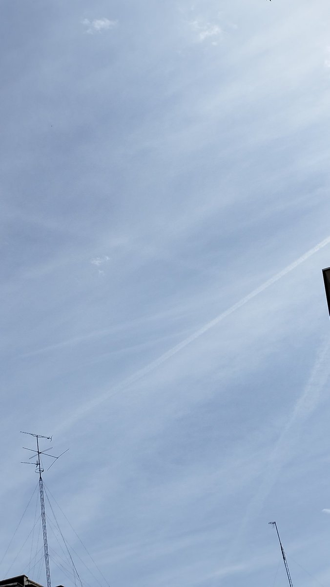 El hombre muerto. tweet media