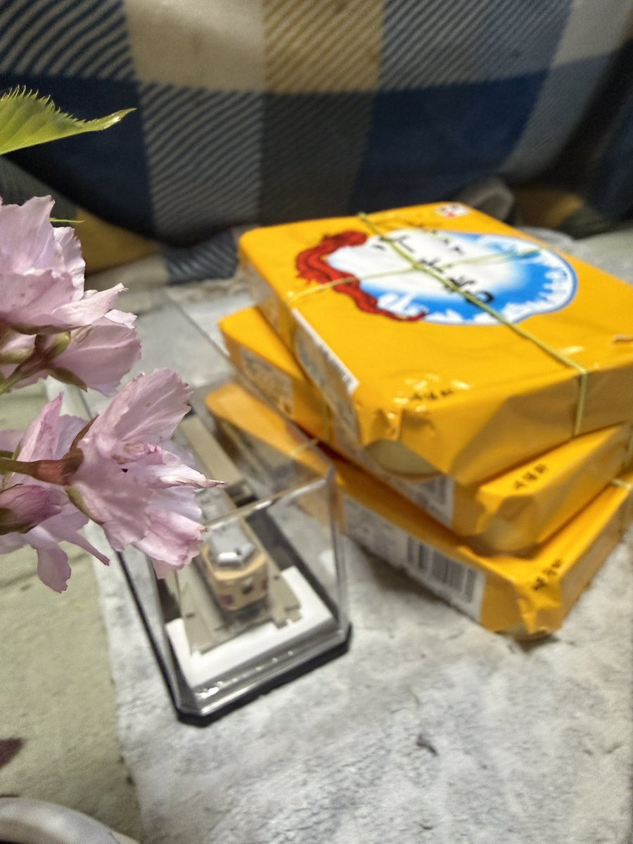 神代圭（黒） tweet media