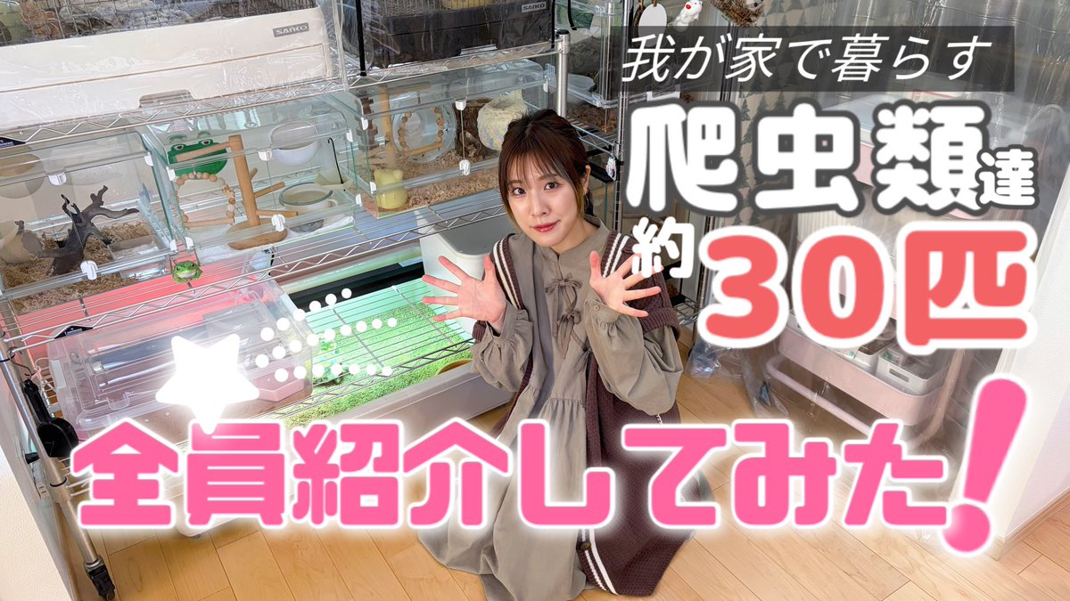 りこぴん🍅爬虫類たくさん飼ってる tweet media