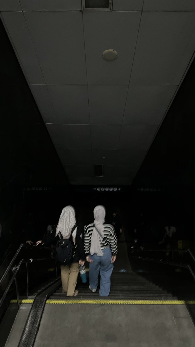 fireflyz tweet media