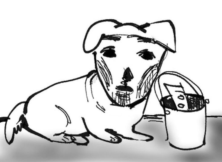 원뉴 연공계 tweet media