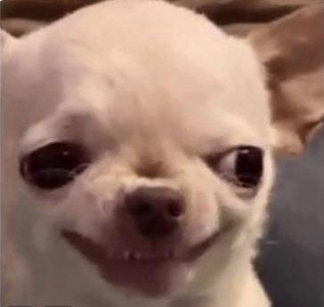 Kleva💨 | tweet media