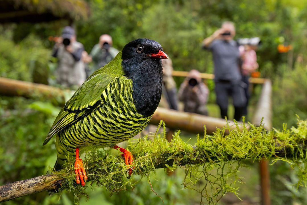 FrstHand tweet media