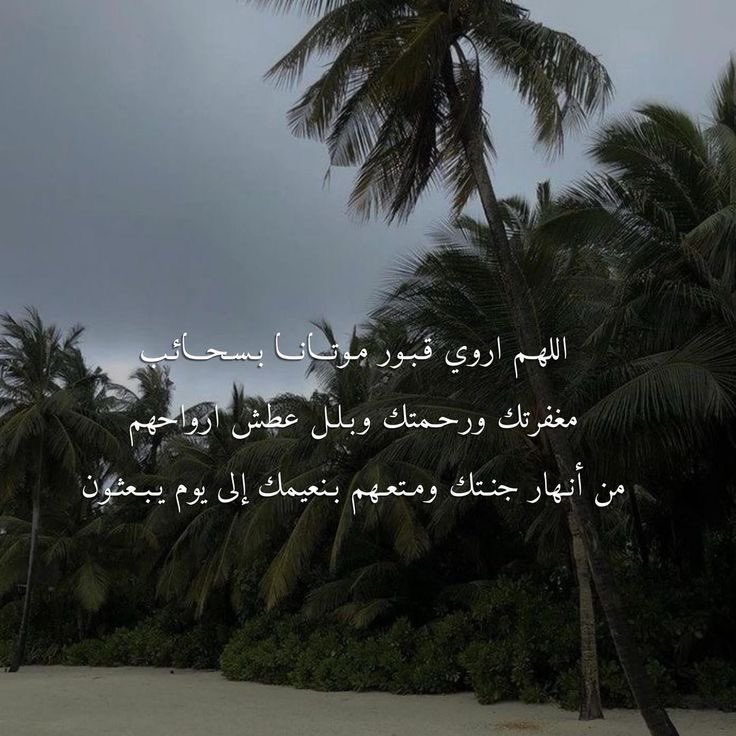 اذكروا موتانا وموتى المسلمين بدعوة 🩶