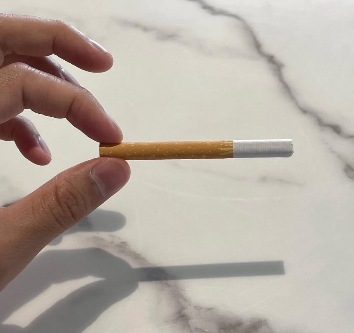 bruno alias el tornero industrial tweet media