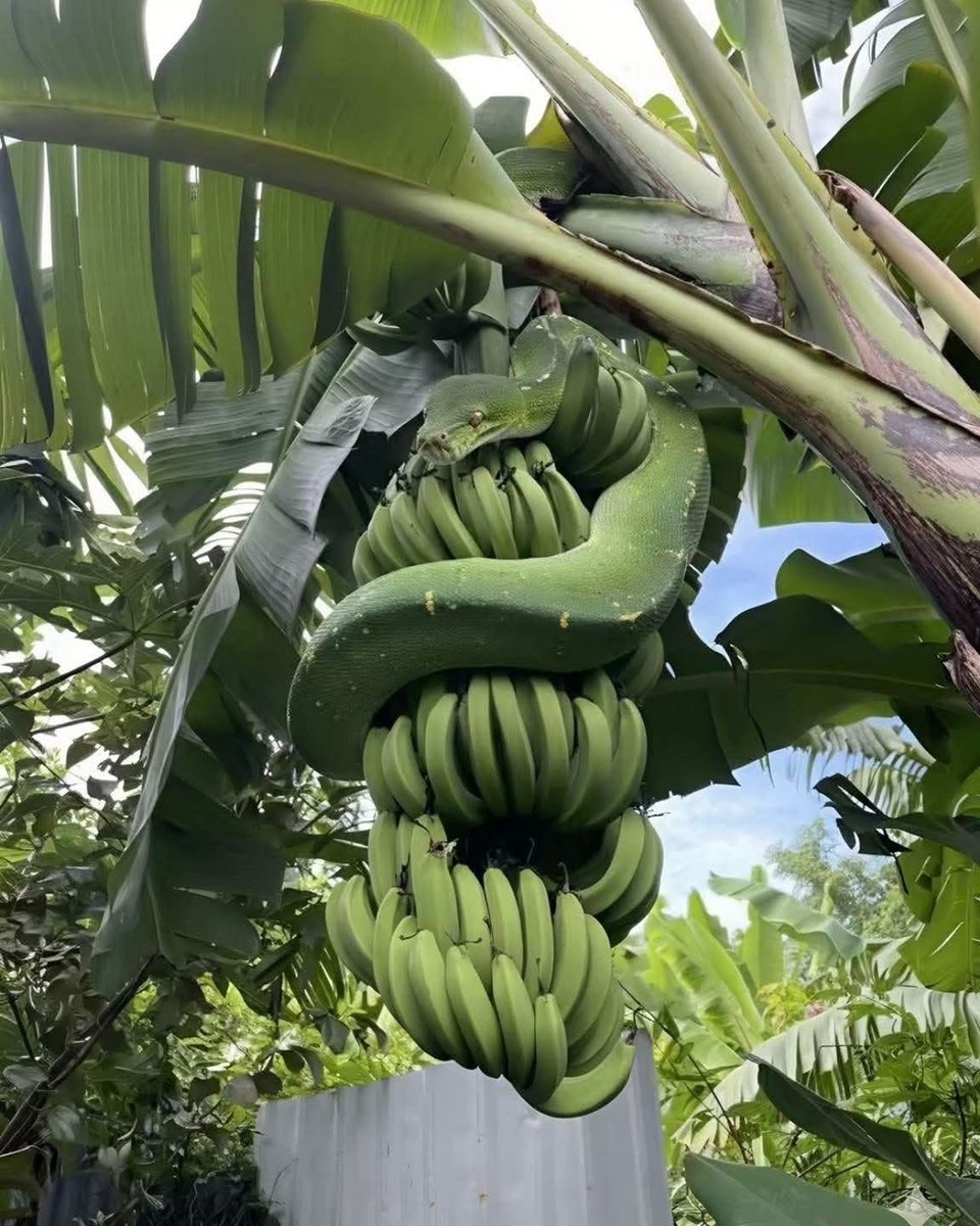 kate 🌺❤︎♡ tweet media