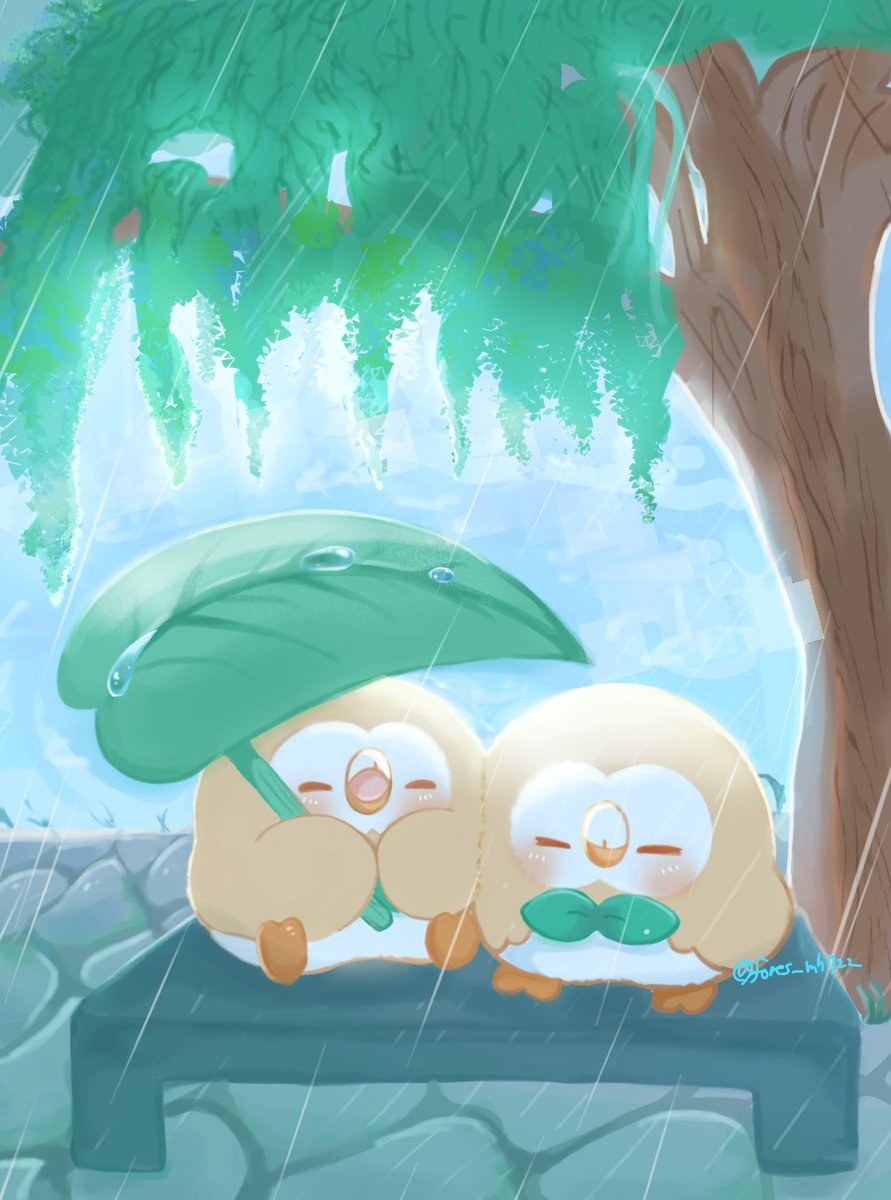 fores_mh722's tweet photo. もうちょっと、こっちにおいで

#モクロー #ポケモンイラスト https://t.co/oYR04rIUTL