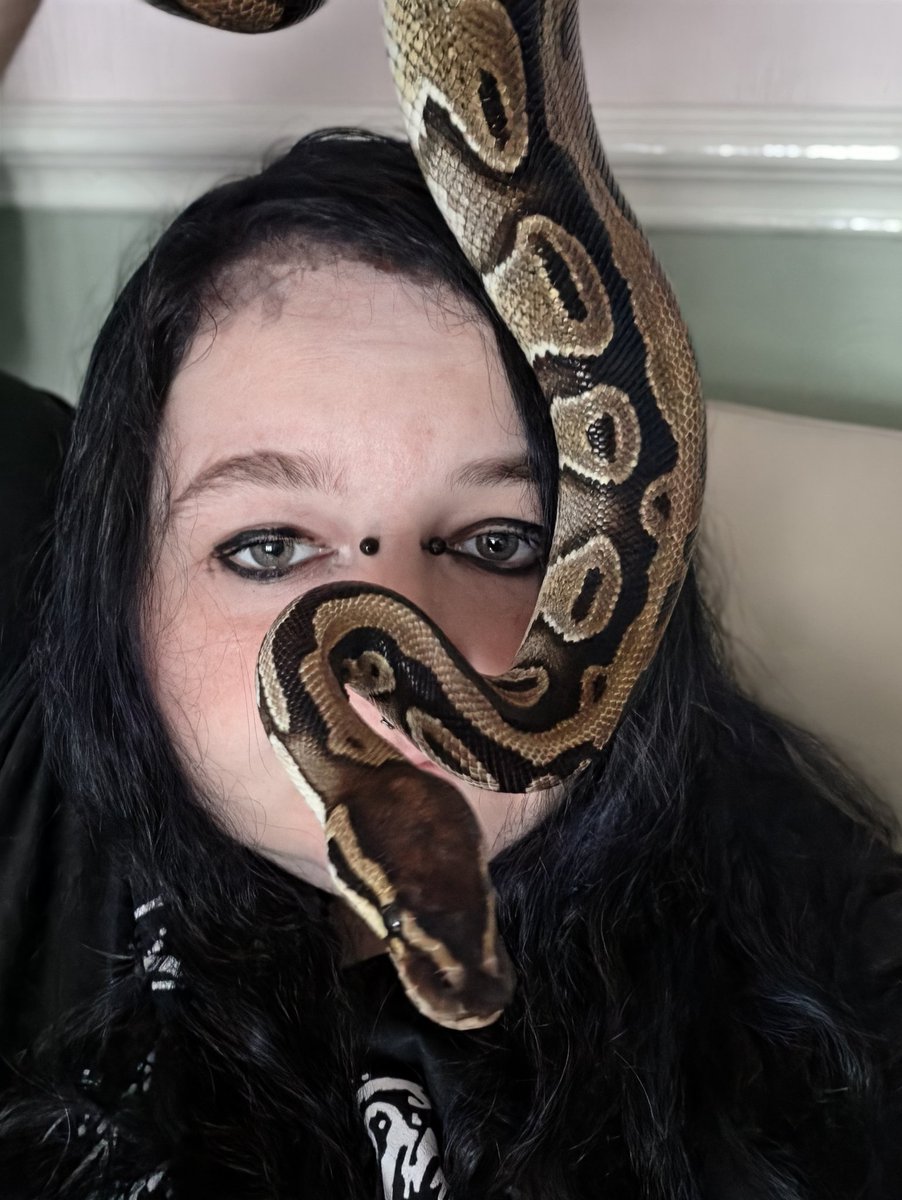 Cheryl 🐍 tweet media