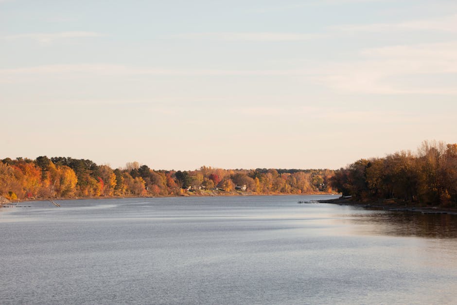 Adam Hays tweet media