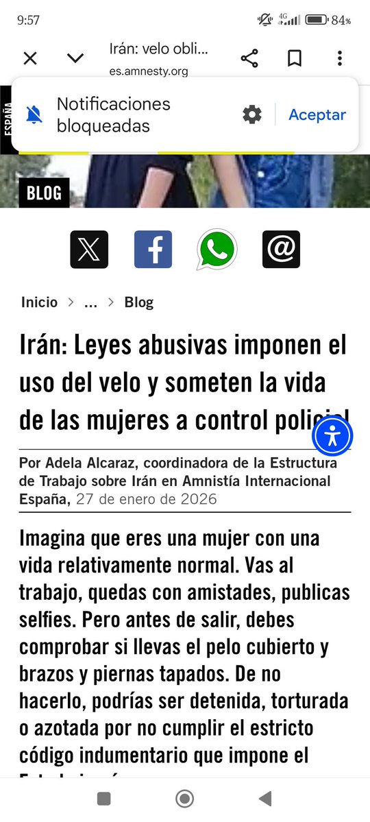 Jonathan Romano יונת tweet media