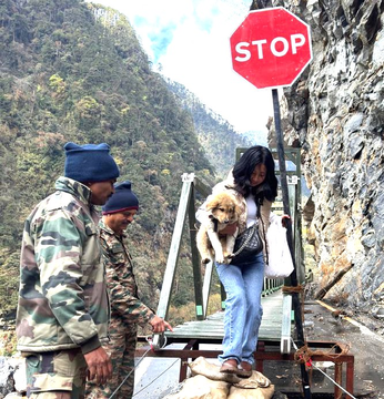 jkmediasocial's tweet image. #Evacuation of stranded tourists in #Lachen, North #Sikkim, was completed smoothly within 48 hours despite adverse weather. A total of 1,321 tourists and 84 local residents were safely evacuated. Connectivity was restored with a foot-bridge after landslide damage on the