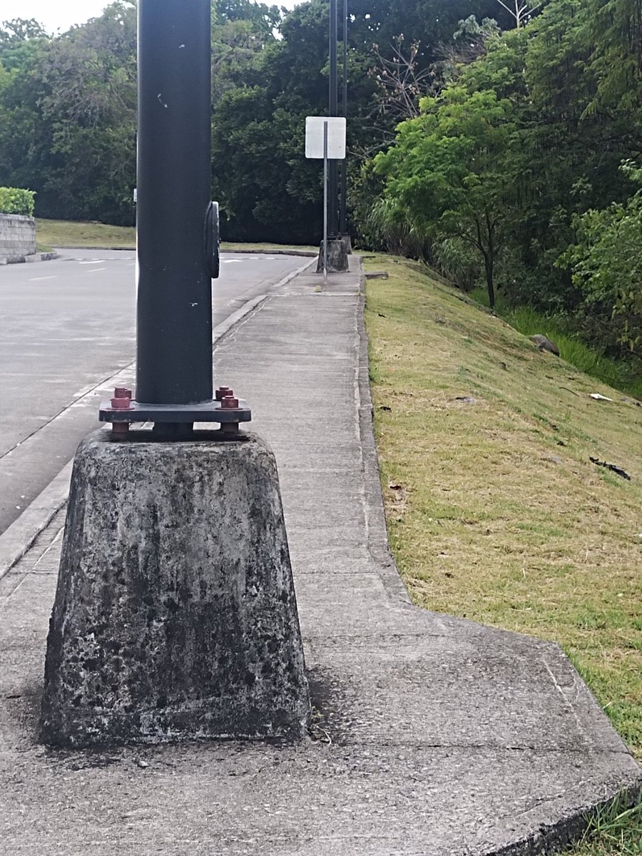 Sandra Escorcia Alvarado tweet media